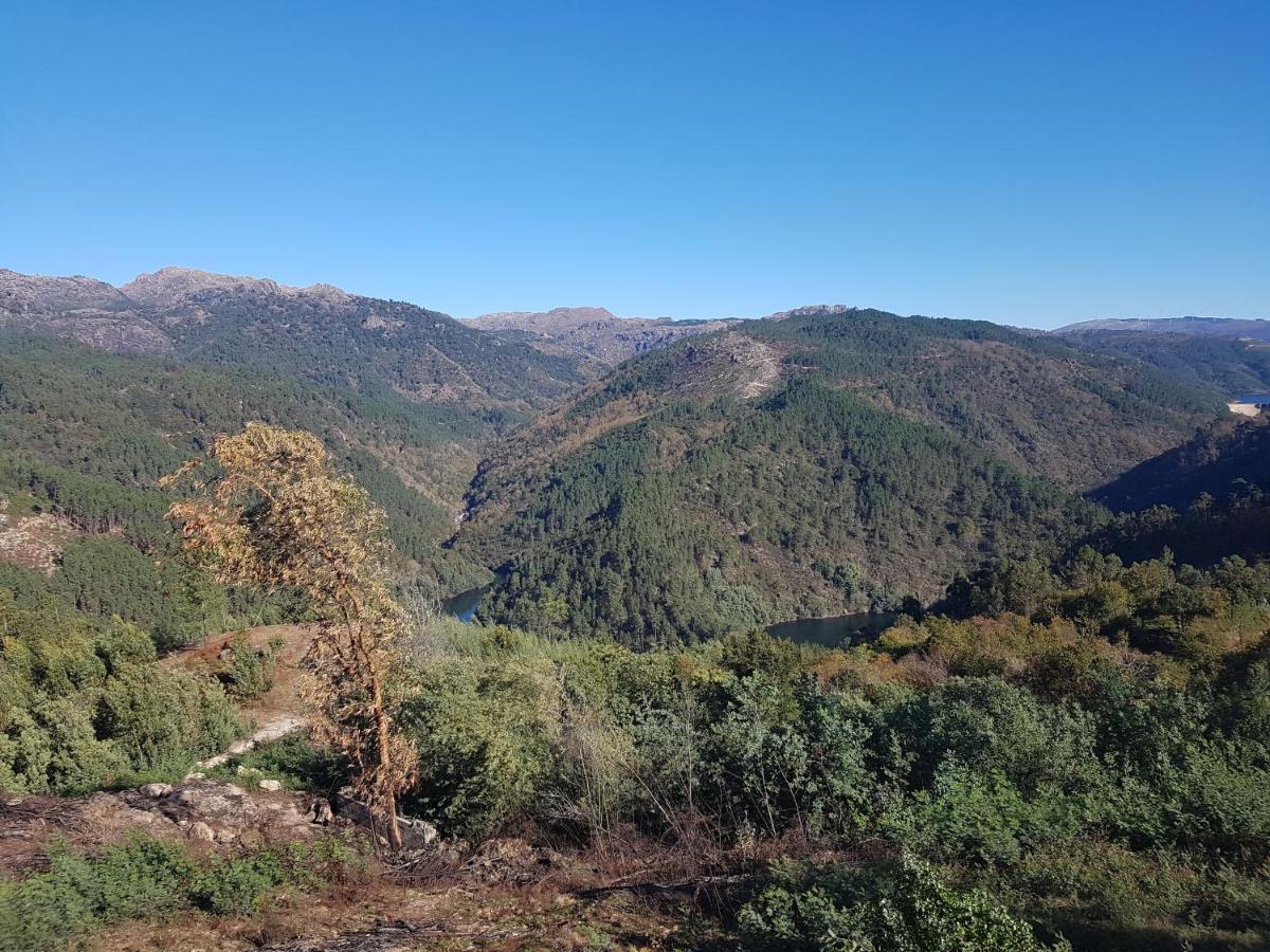 Quinta Da Resteva-Chale Do Rio Vieira do Minho Luaran gambar